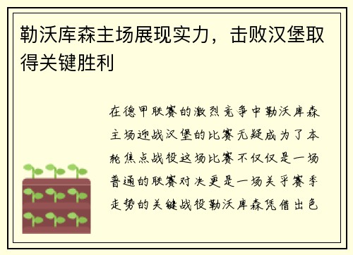 勒沃库森主场展现实力，击败汉堡取得关键胜利